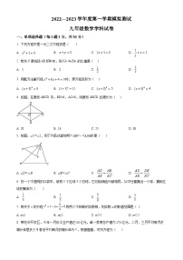 精品解析：广东省深圳市罗湖区2022-2023学年九年级上学期11月第二次检测数学试卷