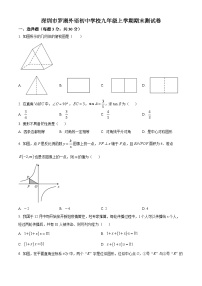 精品解析：广东省深圳市罗湖外语初中学校2022-2023学年九年级上学期期末考试数学试卷