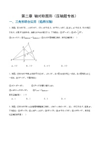 【期中单元重点题型】（苏科版）2023-2024学年八年级数学上册 第二章+轴对称图形（压轴题专练）