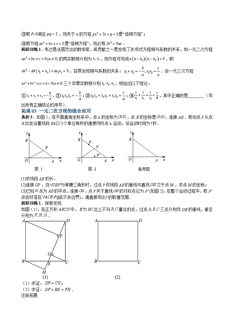 【期中单元重点题型】（北师大版）2023-2024学年九年级数学上册 第2章 一元二次方程 单元复习提升（易错与拓展）-讲义03