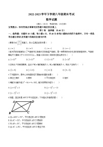 福建省泉州市泉州五中桥南校区2022-2023学年八年级下学期期末数学试题(无答案)