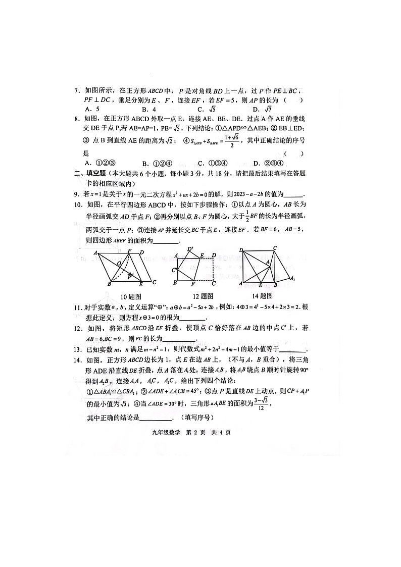 山东省菏泽经济技术开发区多校联考2023-2024学年九年级上学期10月月考数学试题02