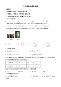 精品解析：2022年广东省深圳市大鹏新区华侨中学九年级数学中考模拟预测试题