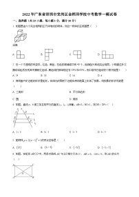 精品解析：2022年广东省深圳市龙岗区金稻田学校中考数学一模试卷