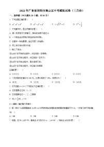 精品解析：2022年广东省深圳市南山区三月份中考模拟数学试题