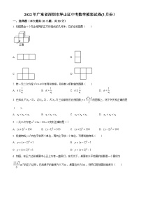 精品解析：2022年广东省深圳市坪山区三月份中考模拟数学试题