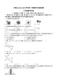 河北省唐山市丰南区2022-2023学年八年级上学期期中数学试题