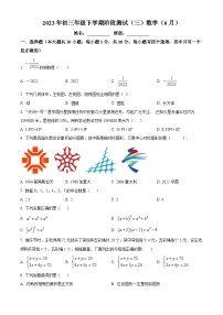 精品解析：2023年广东省深圳市宝安区海湾中学三模数学试题