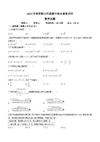 安徽省六安市裕安区第九中学2022-2023学年七年级下学期期中数学试题