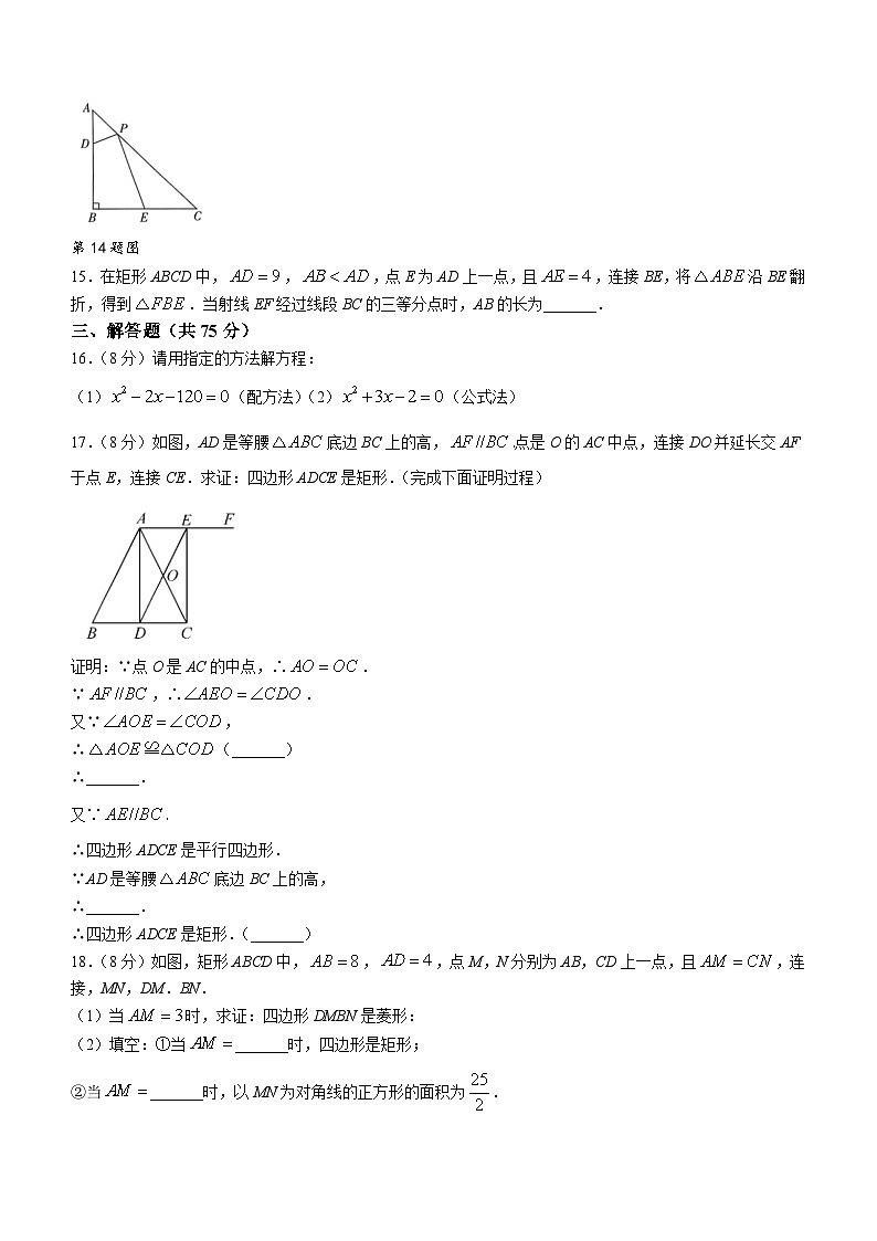河南省郑州市金水区第二实验中学2023-2024学年九年级上学期阶段性学情调研数学试题(一)第3页