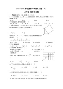 山东省枣庄市峄城区吴林街道中学2023-2024学年八年级上学期第一次月考数学试题