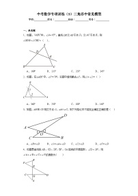 中考数学专项训练（9）三角形中常见模型含解析答案