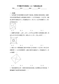 中考数学专项训练（13）勾股定理证明含解析答案