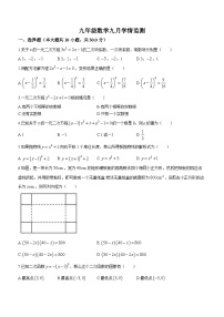 湖北省武汉市三校联合2022-2023学年九年级上学期月考数学试题(无答案)