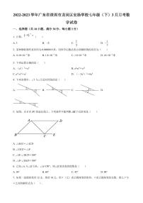 广东省深圳市龙岗区宏扬学校2022-2023学年七年级下学期3月月考数学试卷（原卷及解析版）