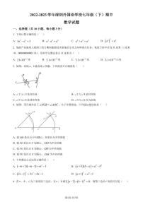 广东省深圳市外国语学校2022-2023学年七年级下学期期中数学试题（原卷及解析版）