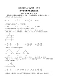 辽宁省沈阳市沈河区实验学校2023-2024学年九年级上学期10月月考数学试题(无答案)