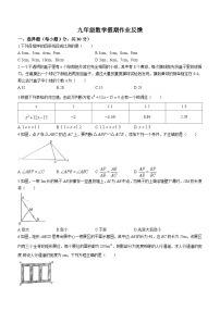 河南省郑州市中原区郑州外国语中学2023-2024学年九年级上学期10月月考数学试题(无答案)