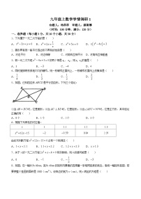 河南省郑州市金水区实验中学2023-2024学年九年级上学期10月月考数学试题