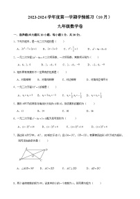 广东省茂名市高州市第一中学2023-2024学年九年级上学期10月月考数学试题