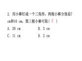 北师大版七年级数学下册第四章三角形第二十七课时认识三角形(二)分层作业课件
