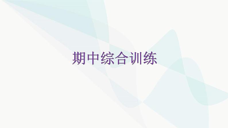 北师大版七年级数学下册期中综合训练课件01