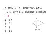 北师大版七年级数学下册第五章生活中的轴对称第41课时利用轴对称进行设计教学课件