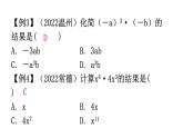 北师大版七年级数学下册专题二第一章整式的乘除重难点教学课件