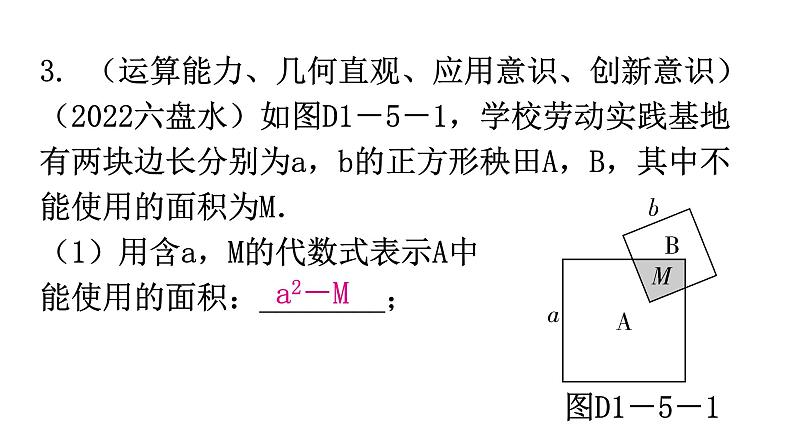 北师大版七年级数学下册专题五第一章整式的乘除核心素养教学课件第7页