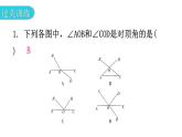 北师大版七年级数学下册专题一第二章相交线与平行线易错点例析教学课件