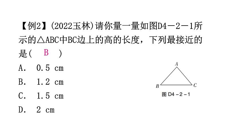 北师大版七年级数学下册专题二第四章三角形重难点教学课件第3页