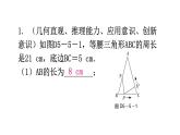 北师大版七年级数学下册专题五第五章生活中的轴对称核心素养教学课件