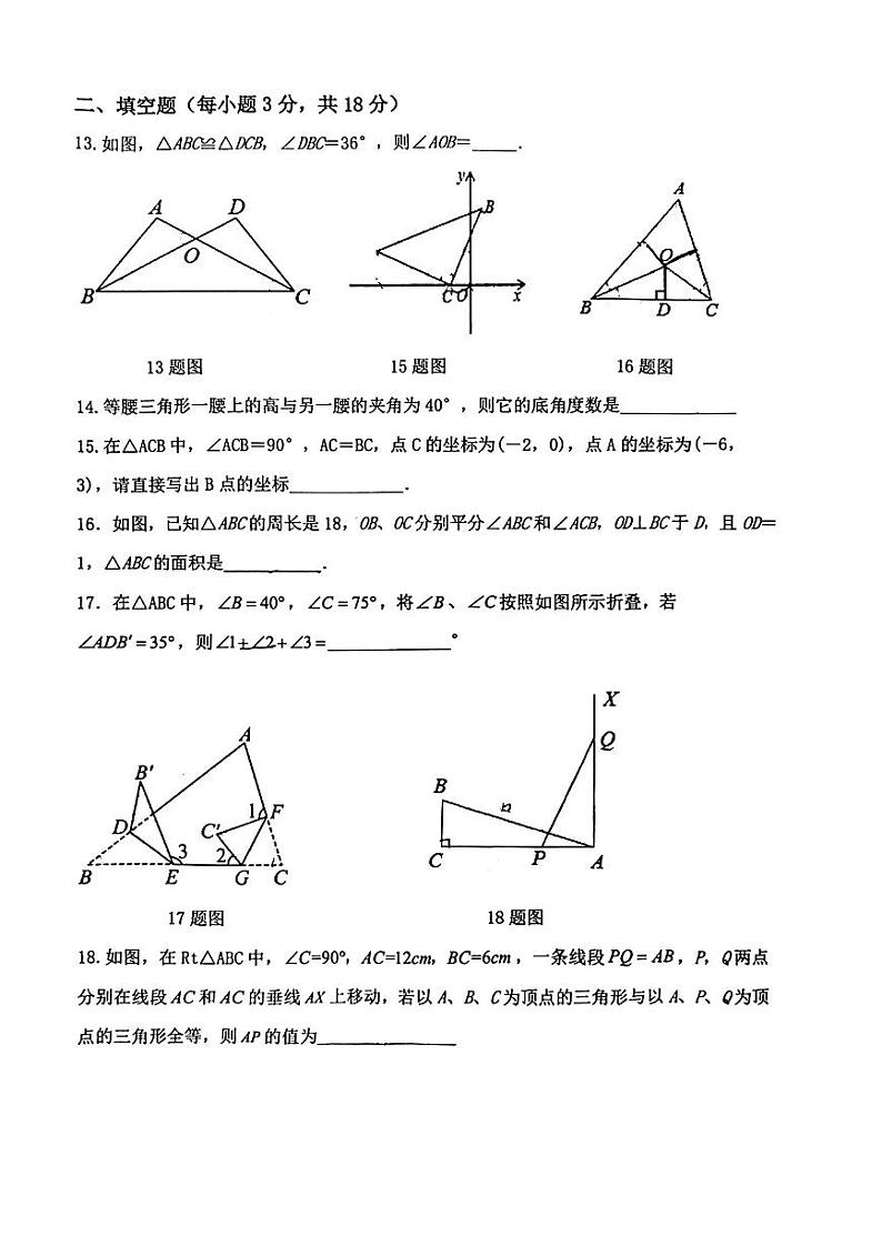 山东省日照市北京路中学2023-2024学年八年级上学期10月月考数学试卷第3页