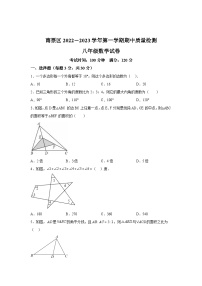 辽宁省葫芦岛市南票区2022-2023学年八年级上学期期中质量检测数学试卷(含解析)