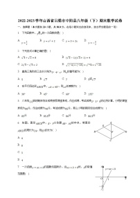 山西省吕梁市中阳县2022-2023学年八年级下学期期末质量检测数学试卷(含解析)