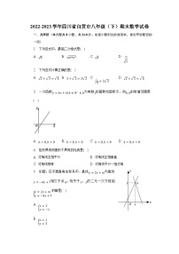 四川省自贡市2022-2023学年八年级下学期期末考试数学试卷(含解析)