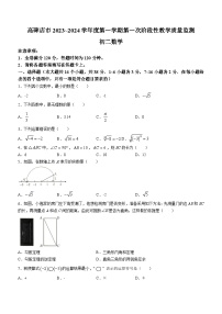 河北省保定市高碑店市2023-2024学年八年级上学期月考数学试题