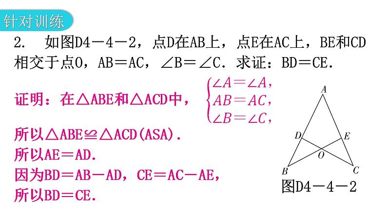 北师大版七年级数学下册专题四模型拓展——全等模型教学课件第6页