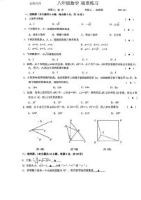 江苏省南京市金陵中学河西分校2023-2024学年八年级上学期第一次月考数学卷