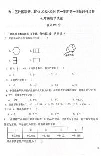 山东省枣庄市市中区乡镇中学2023-2024学年七年级上学期10月月考数学试题（月考）