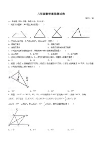 江西省南昌市江西师范大学附属中学2023-2024学年八年级上学期月考数学试题（月考）