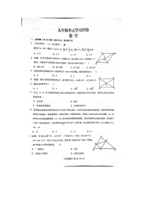 山东省 枣庄市山亭区翼云中学2023-2024学年九年级上学期10月月考数学试题（月考）