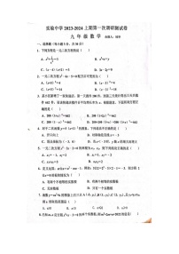 河南省信阳市罗山县罗山县实验中学2023—2024学年九年级上学期10月月考数学试题（月考）