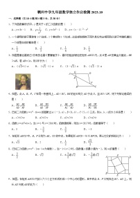 浙江省金华市+义乌市稠州中学2023-2024学年九年级上学期10月月考数学试题