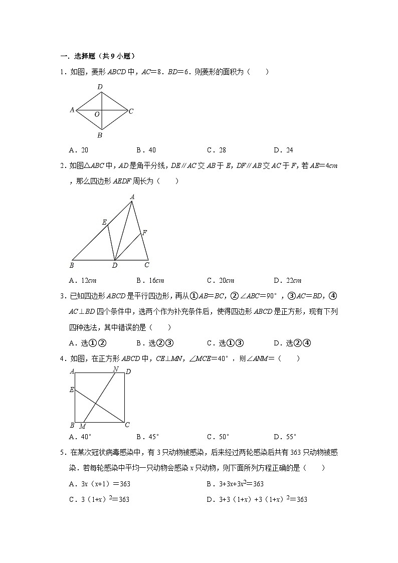 北师大版数学九年级上册期中精品模拟练习（含详细解析）01
