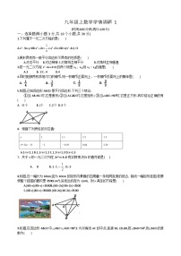 河南省郑州市 金水区河南省实验中学2023-2024学年 九年级上学期9月月考数学试题