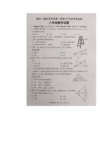 山东省济宁市金乡县2023-2024学年上学期八年级数学10月月考试题