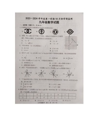 山东省济宁市金乡县2023-2024学年上学期九年级数学10月月考试题