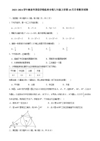 江苏省南京市南京外国语仙林分校2023_2024学年九年级上学期10月月考数学试卷