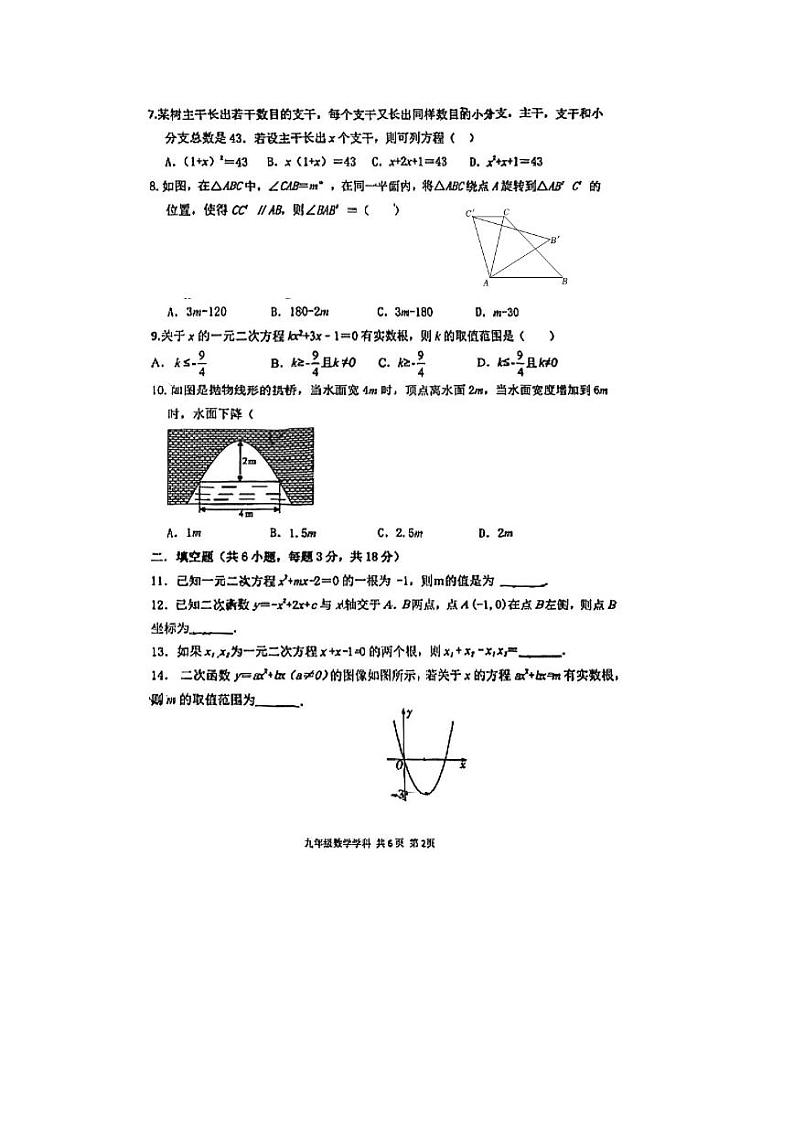 辽宁省九校联考2023—2024年上学期10月考九年级数学试题（月考）第2页